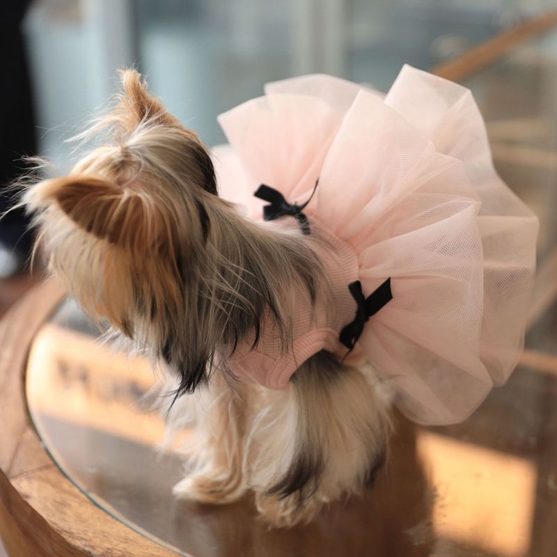 Abbigliamento per animali domestici, gilet estivo traspirante con fiocco, bocciolo di fiore, abito da sposa, principessa, Yorkshire Terrier, cani di piccola e media taglia_voghion.com