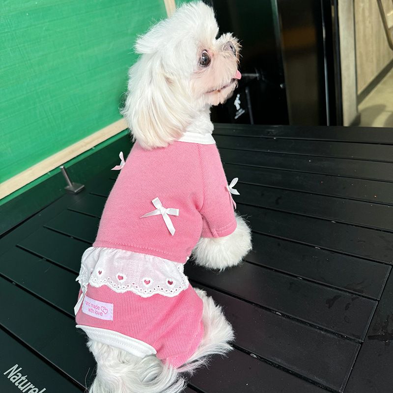 Heartwarming New Pet Four-Legged Clothes For Small Dogs And Cats, Autumn Style With Many Bowknot Designs_voghion.com