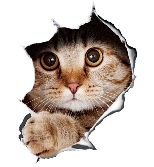 Kreativer, personalisierter 3D-Aufkleber mit süßer kleiner Katze, wasserdichte Abdeckung für Tür und Heck, kratzsimulierender Autoaufkleber_voghion.com
