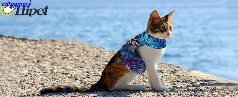 Cat Harness And Leash For Walking Escape Proof Air Mesh Fabric Outdoor Walking Vest With Reflective Strips For Cute Cats And Small Dogs (S, Pink)_voghion.com