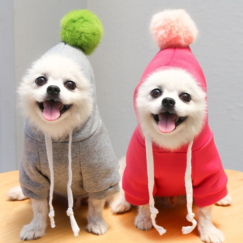 Maglione con cartone animato con palla cane gatto animale domestico Teddy Fadou autunno e inverno abbigliamento forniture Tide marchio Bomei all'ingrosso_voghion.com
