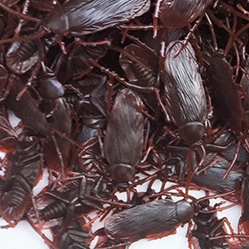 ToysMall 20Pcs/Set Roaches Novelty Real-looking Long Lasting Favorite Trick Joke Cockroaches Toys for Halloween_voghion.com