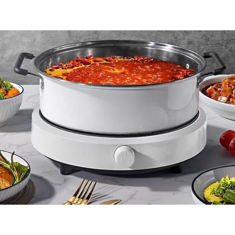 Induction Cooker 110V Small Home Appliance 110 Volt US Canada Taiwan UK Standard High Power_voghion.com