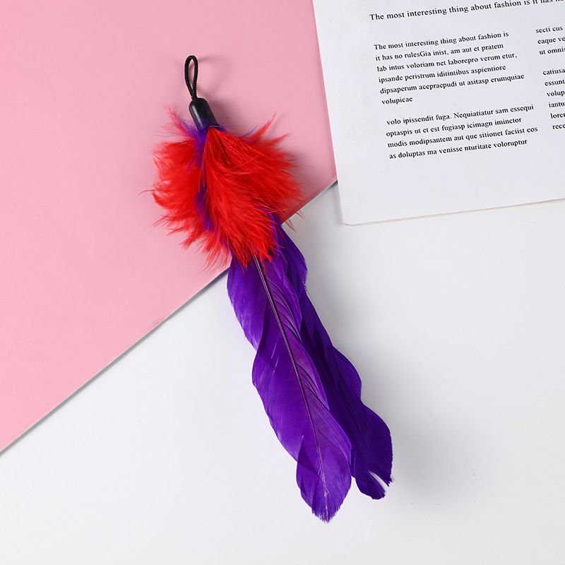 Giocattolo interattivo per gatti con testa di ricambio in peluche con bacchetta magica multicolore e piuma, per alleviare la noia_voghion.com