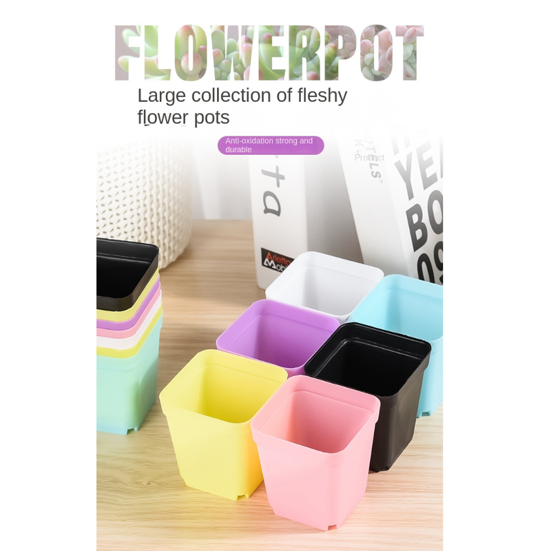 20 Mini-Blumentöpfe in verschiedenen Farben, Sukkulenten-Pflanzkästen, Pflanzgefäße, Dekotabletts für Büro und Garten, Gartenvasen_voghion.com