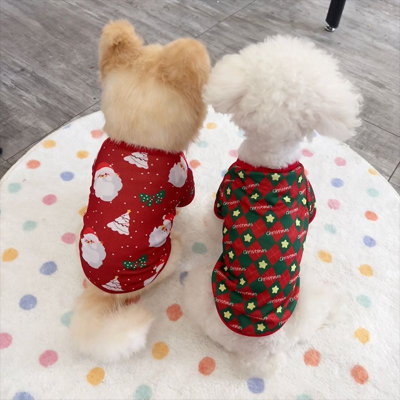 Kleines Hunde-Sweatshirt für Haustiere, Herbst und Winter, dünn, bequem, für zweibeinige Katzen, Thanksgiving-Outfit_voghion.com