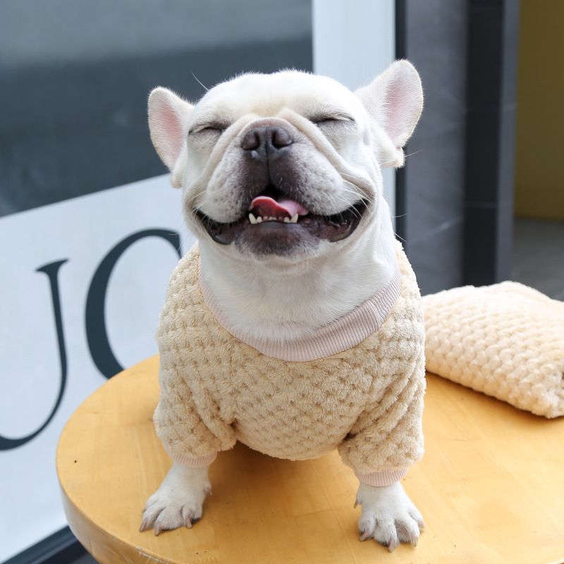 Ropa para perros pequeños y grandes, ropa para gatos, otoño e invierno, nuevos suministros para mascotas, ropa de vellón, método, cubo, ropa de dos patas, cuadros_voghion.com