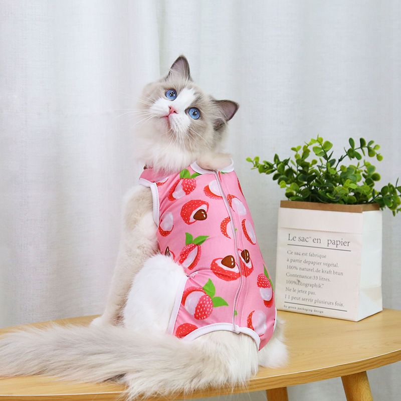 Combinaison de stérilisation pour chien de petite et moyenne taille, vêtements pour animaux de compagnie quatre saisons, fournitures post-opératoires pour chats_voghion.com