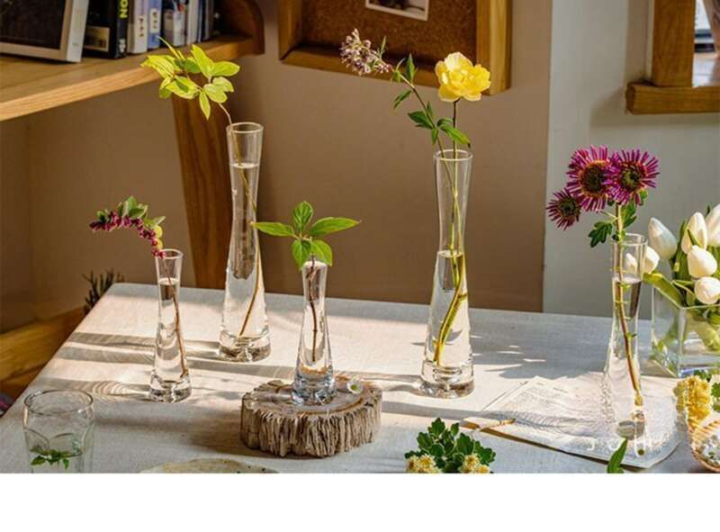 【 46000 People Collected 】 Juhan Nordic Ins High Beauty Arrangement Water Nourishing Small Vase Glass Transparent_voghion.com