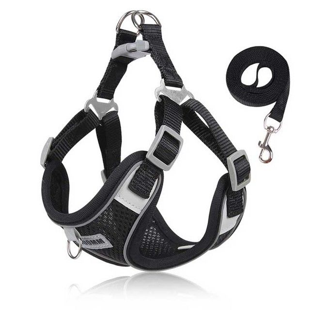 Dog Harness, Vest Small And Medium Dogs, Puppy Leash Set, Chest Strap For Chihuahua, Bulldog, Walking Leashes, Pet By PawParty Store_voghion.com