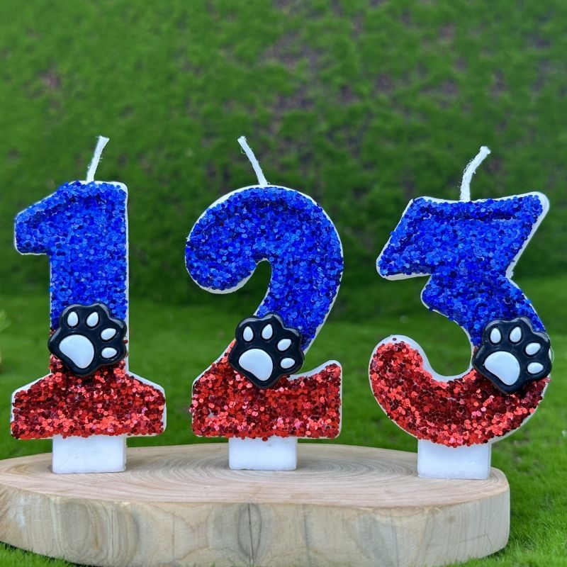 Torta digitale con zampa di orso e gatto, candela per il primo compleanno_voghion.com