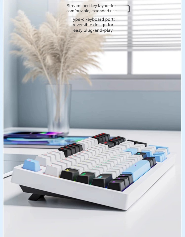 RuiYi F98 Mechanical Keyboard High Aesthetic Gaming Wired Office Laptop Blue Brown Red Switch_voghion.com