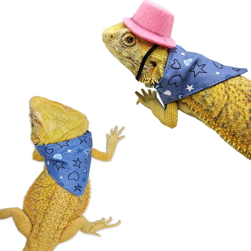 Lizard Hamster Triangle Drool Scarf Halloween Costume Small Pet Top Hat_voghion.com