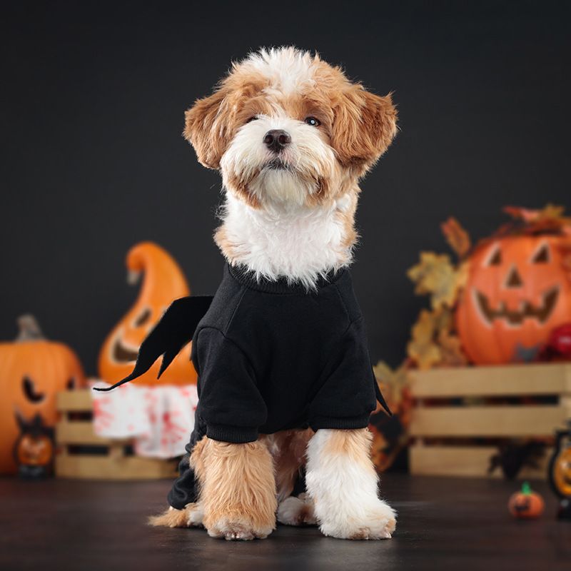 Costumi per feste di Halloween per cani e gatti, costume da pipistrello con effetto luminoso_voghion.com