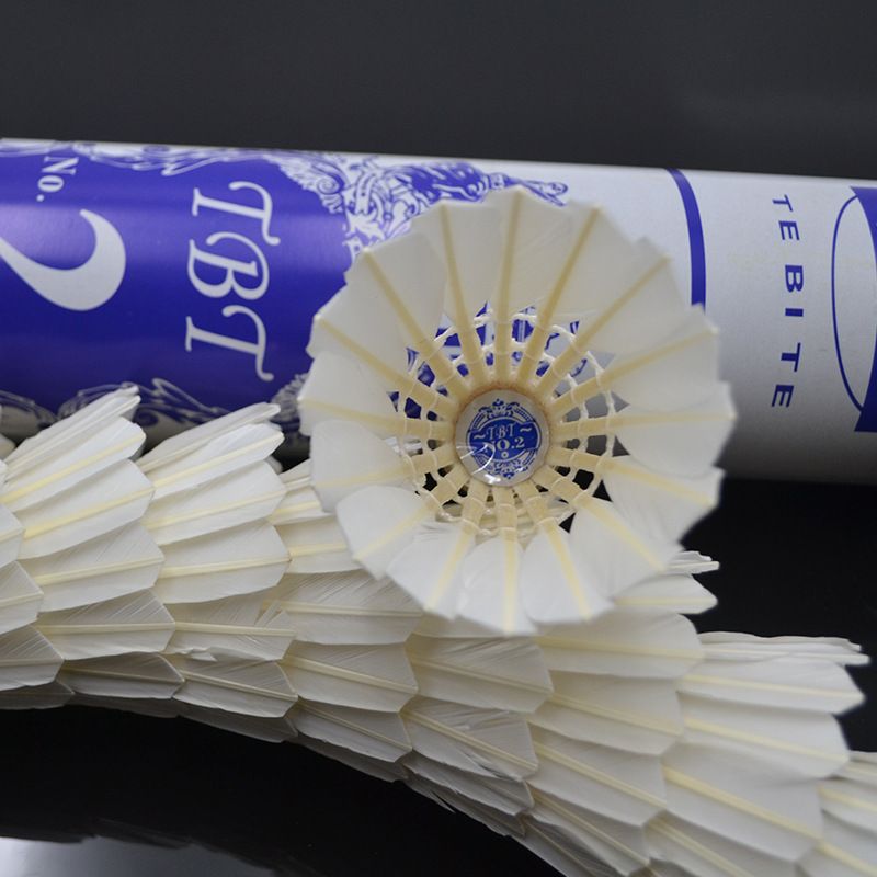 TBT Stable Flight Duurzame 12-Pack Wedstrijd Training Professionele Badminton 7776_voghion.com