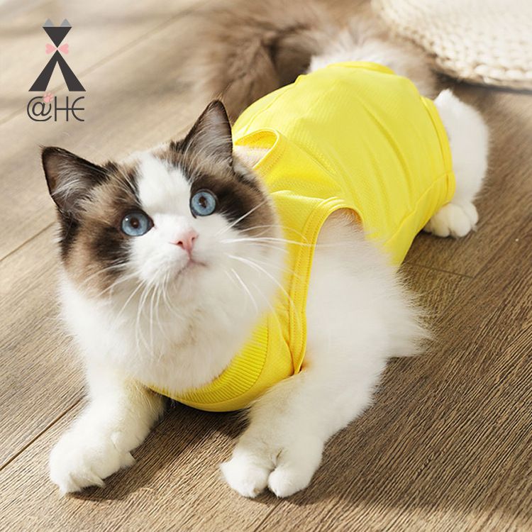 Tuta post-operatoria anti-leccamento anti-ferita per gatti femmine, elastica estiva per animali domestici_voghion.com