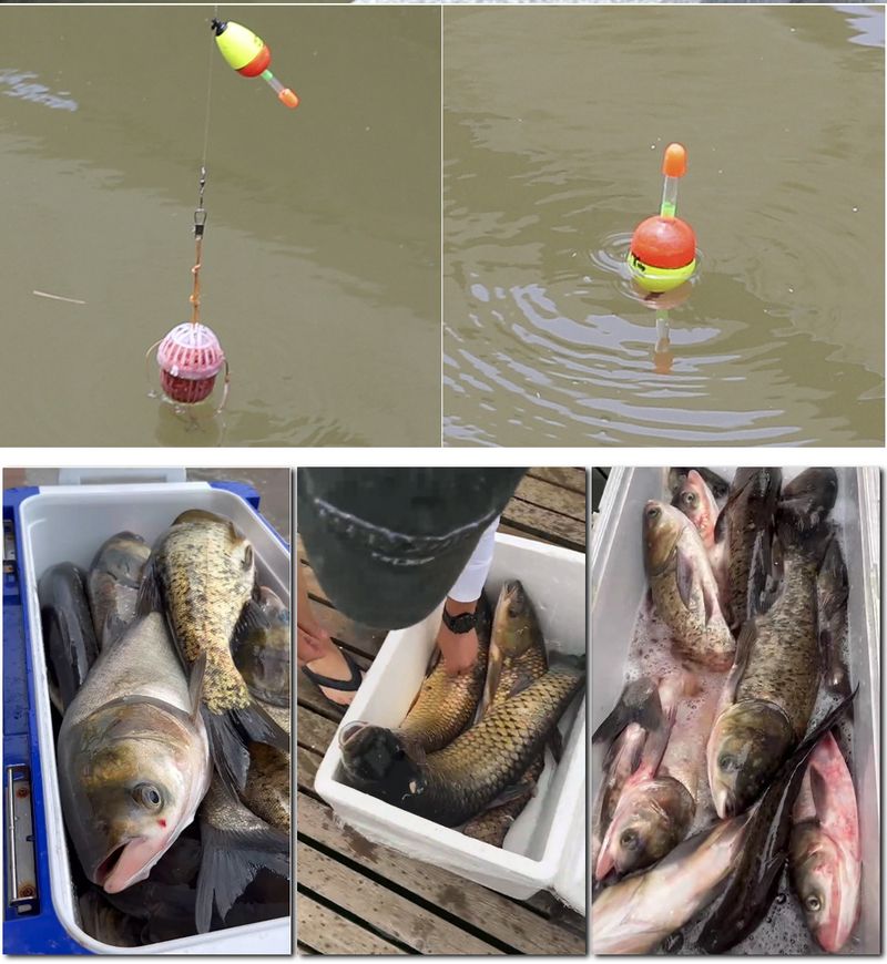 2.1m & 1.8m Telescopic Sea Fishing Rod Set with Lure - Portable Newbie Combination Including Soft Baits and Multiple Fishing Tools_voghion.com