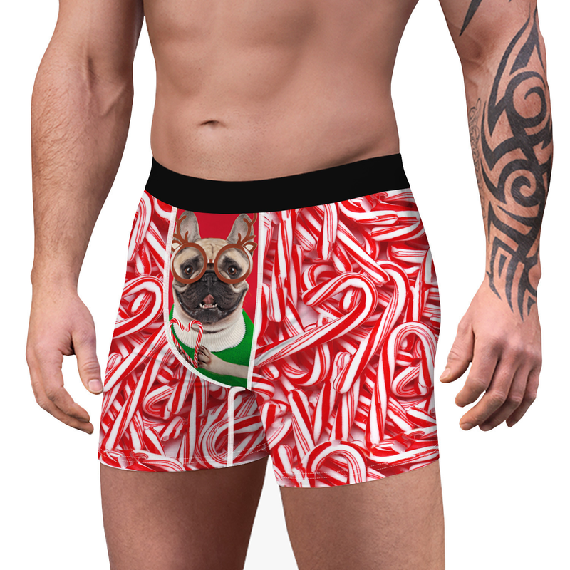 Paresseux de Noël, impression numérique 3D, sous-vêtements confortables pour hommes, pantalons à coins plats en Polyester respirant_voghion.com