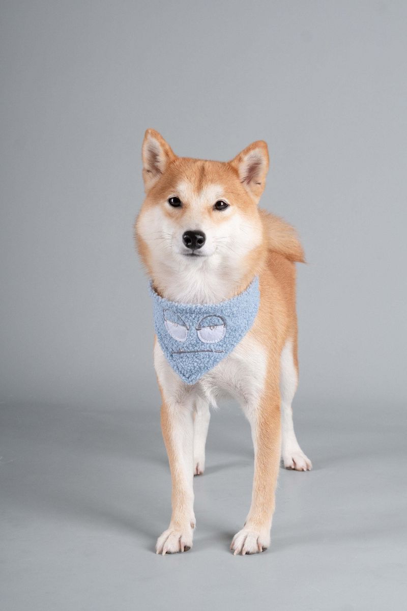Touchdog 'Dizzy-Eyed Cyclops' Cotton Velcro Dog Bandana and Scarf_voghion.com
