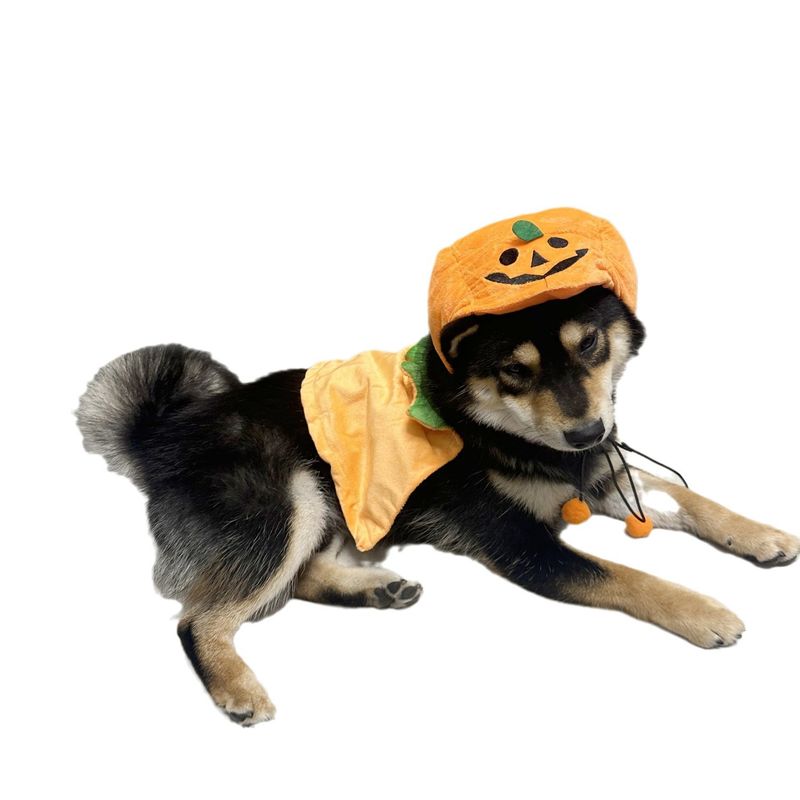 Cappello di peluche per animali domestici, copricapo divertente, marchio alla moda, mantello di zucca bifacciale per gatto e cucciolo_voghion.com