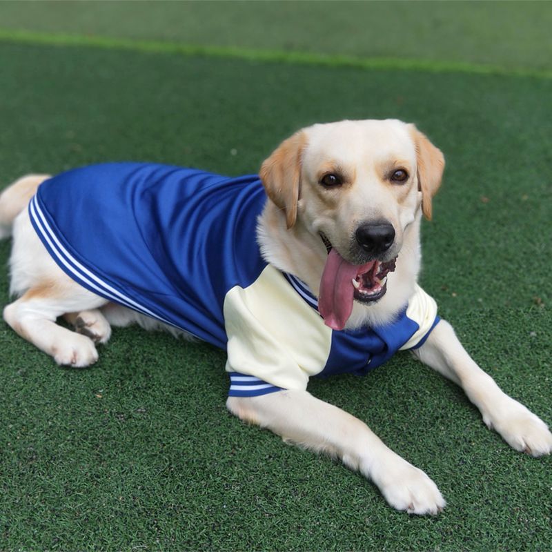 Pet Baseball Uniform, Winter Jacket For Small And Large Dogs, Puppy Clothes, French Bulldog Chihuahua Labrador Costume By PawParty Store_voghion.com