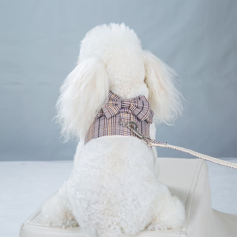Nieuwe set ademende geruite vesten voor huisdieren, teddy hondenwandellijn_voghion.com