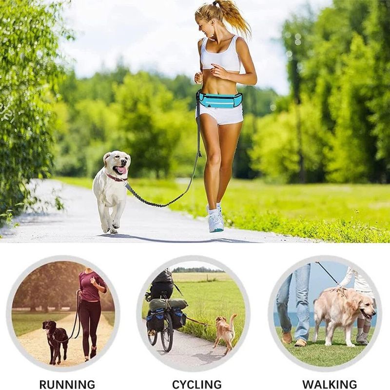 Pet Supplies Running Sports Waist Bag Set High Elasticity Walking Explosion-Proof Outdoor Dog Leash_voghion.com