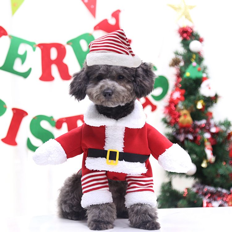 Weihnachten Große hund Katze Santa Claus kleidung hund heimtierbedarf pelzigen lustige zwei füße goldene haar transformation_voghion.com