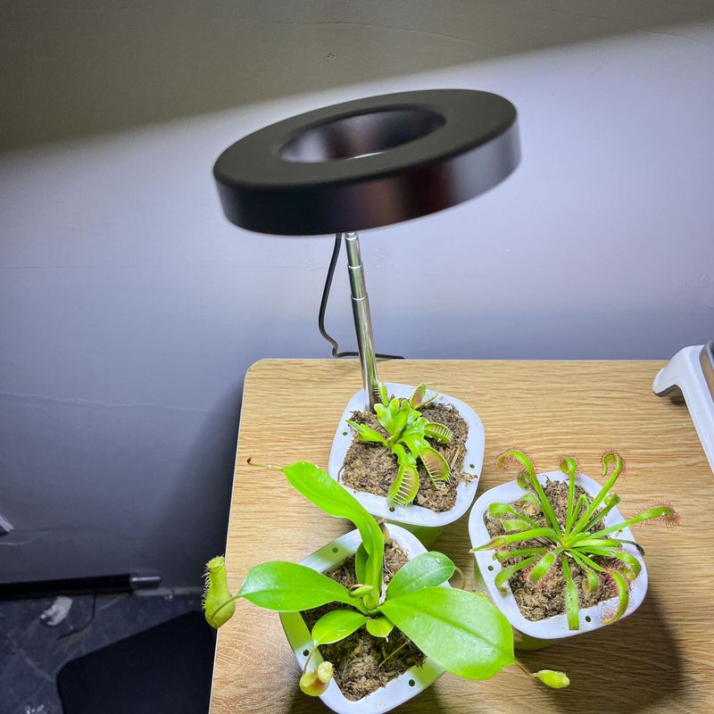 Full Spectrum Indoor Solar LED Plant Growth Lamp For Succulent Plants And Flowers Indoor Ground Mounted Retractable_voghion.com